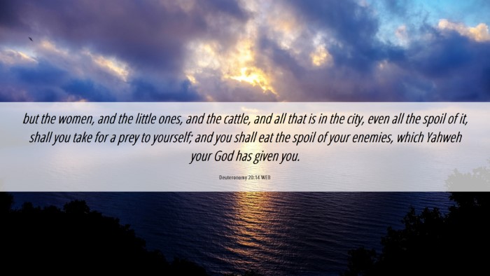 Picture 06 - Deuteronomy 20:14 WEB Desktop Wallpaper - but the women, and the little ones, and the - Desktop Bible Verse Wallpaper