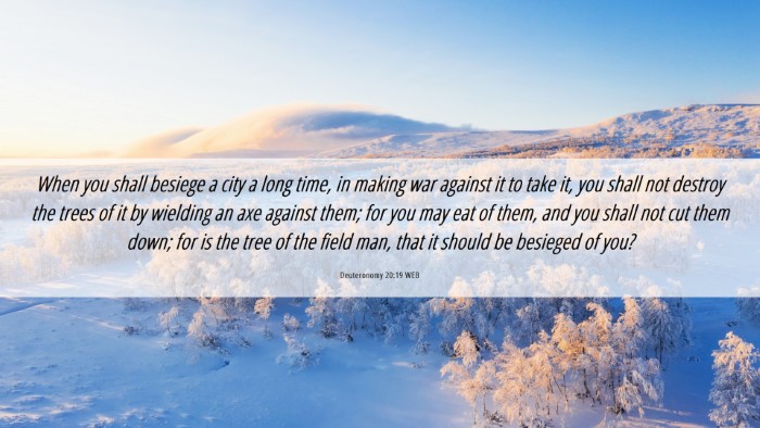 Picture 06 - Deuteronomy 20:19 WEB Desktop Wallpaper - When you shall besiege a city a long time, in - Desktop Bible Verse Wallpaper