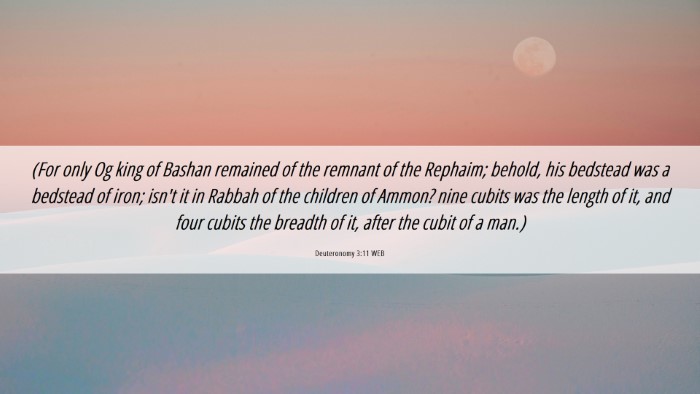 Picture 06 - Deuteronomy 3:11 WEB Desktop Wallpaper - (For only Og king of Bashan remained of the - Desktop Bible Verse Wallpaper