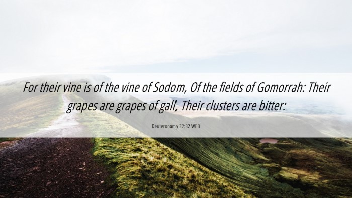 Picture 06 - Deuteronomy 32:32 WEB Desktop Wallpaper - For their vine is of the vine of Sodom, Of the - Desktop Bible Verse Wallpaper