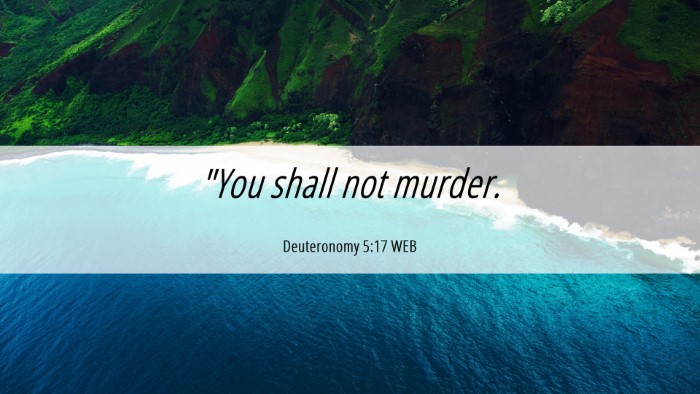 Picture 06 - Deuteronomy 5:17 WEB Desktop Wallpaper - 