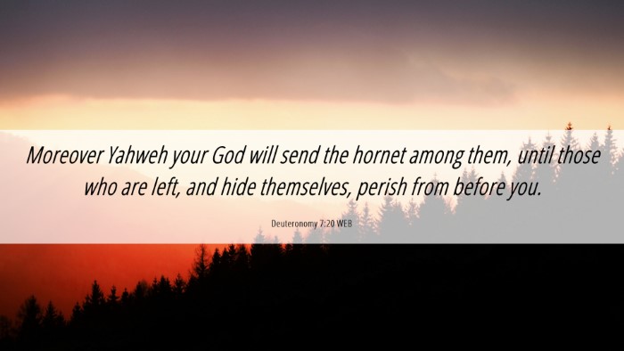 Picture 06 - Deuteronomy 7:20 WEB Desktop Wallpaper - Moreover Yahweh your God will send the hornet - Desktop Bible Verse Wallpaper