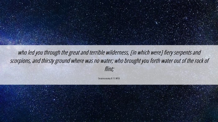 Picture 06 - Deuteronomy 8:15 WEB Desktop Wallpaper - who led you through the great and terrible - Desktop Bible Verse Wallpaper