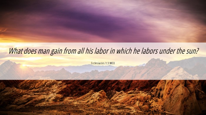 Picture 06 - Ecclesiastes 1:3 WEB Desktop Wallpaper - What does man gain from all his labor in which he - Desktop Bible Verse Wallpaper
