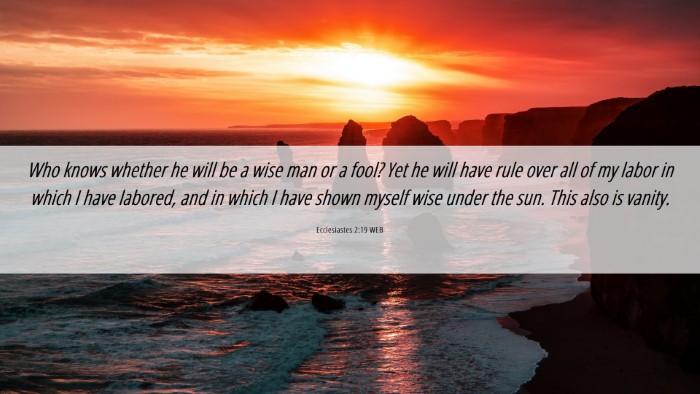 Picture 06 - Ecclesiastes 2:19 WEB Desktop Wallpaper - Who knows whether he will be a wise man or a - Desktop Bible Verse Wallpaper