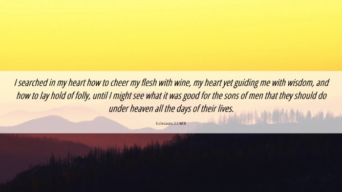 Picture 06 - Ecclesiastes 2:3 WEB Desktop Wallpaper - I searched in my heart how to cheer my flesh with - Desktop Bible Verse Wallpaper