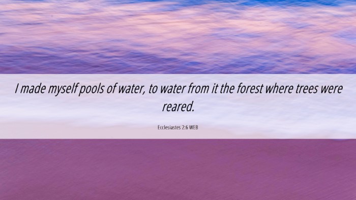 Picture 06 - Ecclesiastes 2:6 WEB Desktop Wallpaper - I made myself pools of water, to water from it - Desktop Bible Verse Wallpaper