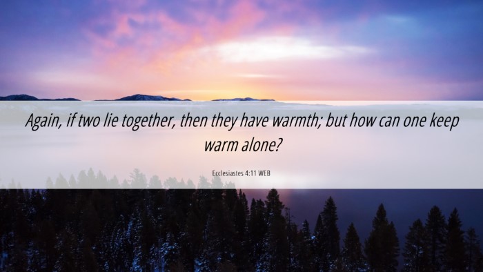 Picture 06 - Ecclesiastes 4:11 WEB Desktop Wallpaper - Again, if two lie together, then they have - Desktop Bible Verse Wallpaper