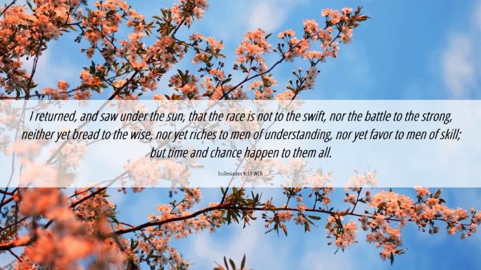 Picture 06 - Ecclesiastes 9:11 WEB Desktop Wallpaper - I returned, and saw under the sun, that the race - Desktop Bible Verse Wallpaper