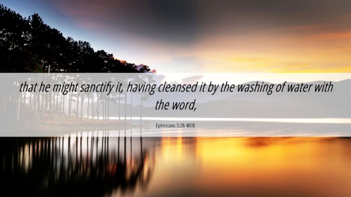 Picture 06 - Ephesians 5:26 WEB Desktop Wallpaper - that he might sanctify it, having cleansed it by - Desktop Bible Verse Wallpaper