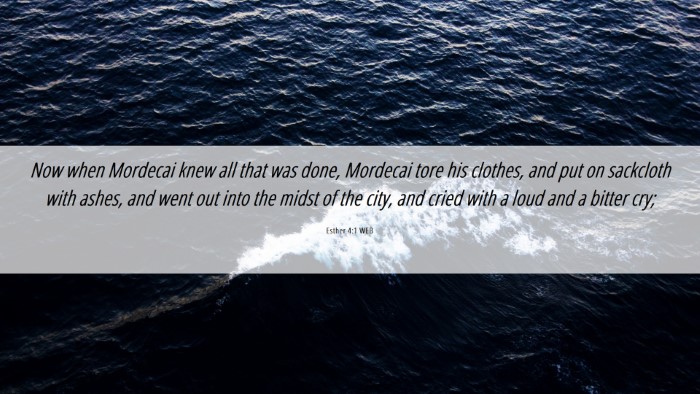 Picture 06 - Esther 4:1 WEB Desktop Wallpaper - Now when Mordecai knew all that was done, - Desktop Bible Verse Wallpaper