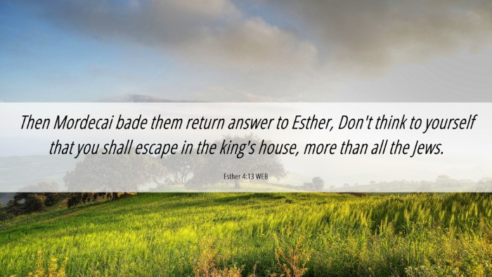 Picture 06 - Esther 4:13 WEB Desktop Wallpaper - Then Mordecai bade them return answer to Esther, - Desktop Bible Verse Wallpaper