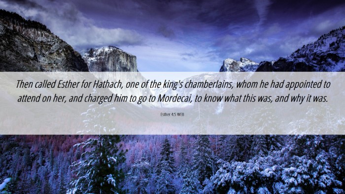 Picture 06 - Esther 4:5 WEB Desktop Wallpaper - Then called Esther for Hathach, one of the king's - Desktop Bible Verse Wallpaper