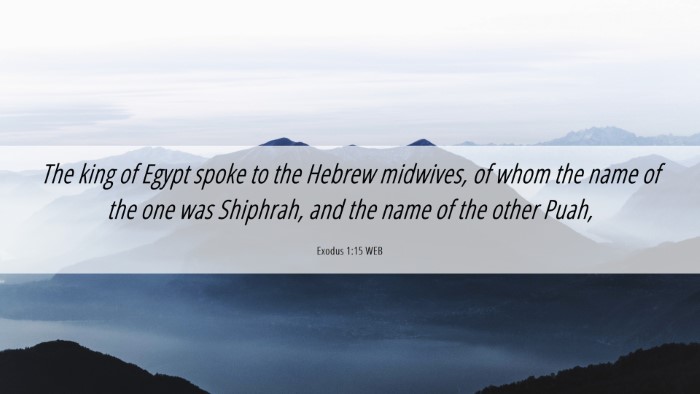 Picture 06 - Exodus 1:15 WEB Desktop Wallpaper - The king of Egypt spoke to the Hebrew midwives, - Desktop Bible Verse Wallpaper