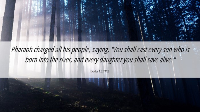 Picture 06 - Exodus 1:22 WEB Desktop Wallpaper - Pharaoh charged all his people, saying, 