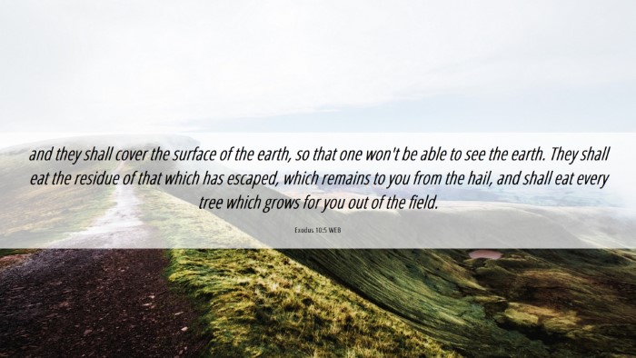 Picture 06 - Exodus 10:5 WEB Desktop Wallpaper - and they shall cover the surface of the earth, so - Desktop Bible Verse Wallpaper
