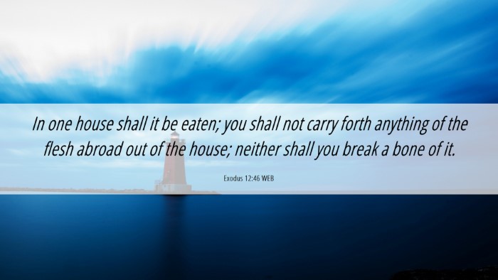 Picture 06 - Exodus 12:46 WEB Desktop Wallpaper - In one house shall it be eaten; you shall not - Desktop Bible Verse Wallpaper