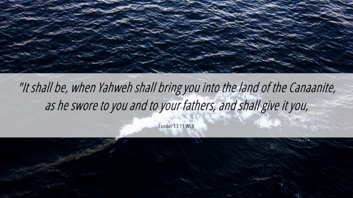 Picture 06 - Exodus 13:11 WEB Desktop Wallpaper - 