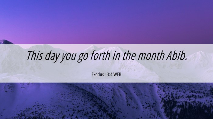 Picture 06 - Exodus 13:4 WEB Desktop Wallpaper - This day you go forth in the month - Desktop Bible Verse Wallpaper