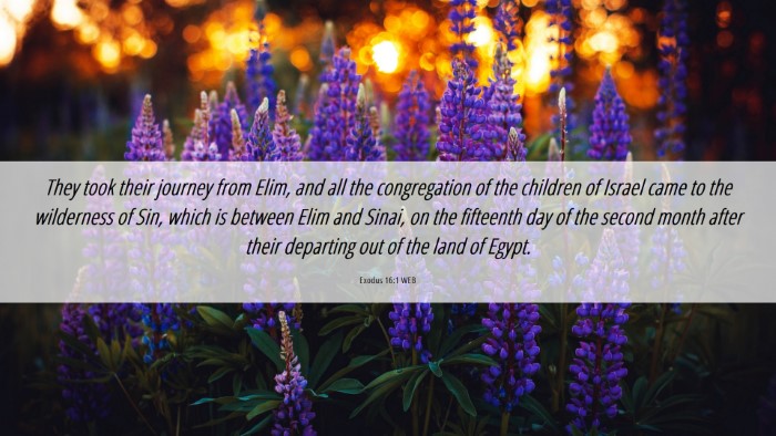 Picture 06 - Exodus 16:1 WEB Desktop Wallpaper - They took their journey from Elim, and all the - Desktop Bible Verse Wallpaper