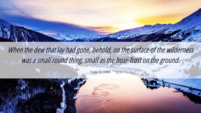 Picture 06 - Exodus 16:14 WEB Desktop Wallpaper - When the dew that lay had gone, behold, on the - Desktop Bible Verse Wallpaper