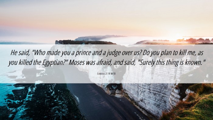 Picture 06 - Exodus 2:14 WEB Desktop Wallpaper - He said, 