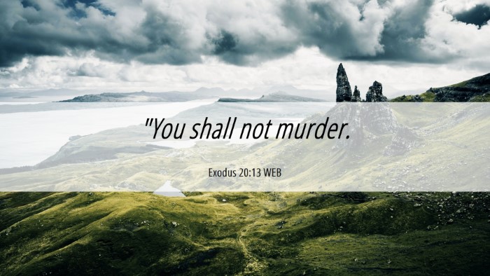 Picture 06 - Exodus 20:13 WEB Desktop Wallpaper - 