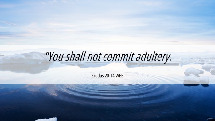 Picture 06 - Exodus 20:14 WEB Desktop Wallpaper - 