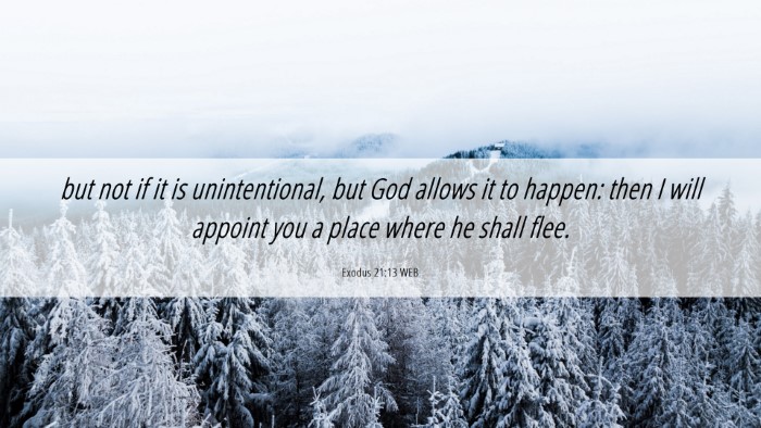 Picture 06 - Exodus 21:13 WEB Desktop Wallpaper - but not if it is unintentional, but God allows it - Desktop Bible Verse Wallpaper