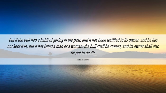 Picture 06 - Exodus 21:29 WEB Desktop Wallpaper - But if the bull had a habit of goring in the - Desktop Bible Verse Wallpaper
