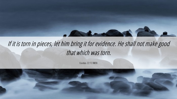Picture 06 - Exodus 22:13 WEB Desktop Wallpaper - If it is torn in pieces, let him bring it for - Desktop Bible Verse Wallpaper