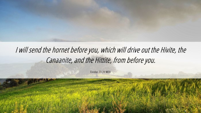 Picture 06 - Exodus 23:28 WEB Desktop Wallpaper - I will send the hornet before you, which will - Desktop Bible Verse Wallpaper
