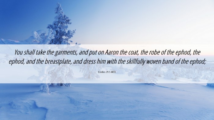 Picture 06 - Exodus 29:5 WEB Desktop Wallpaper - You shall take the garments, and put on Aaron the - Desktop Bible Verse Wallpaper