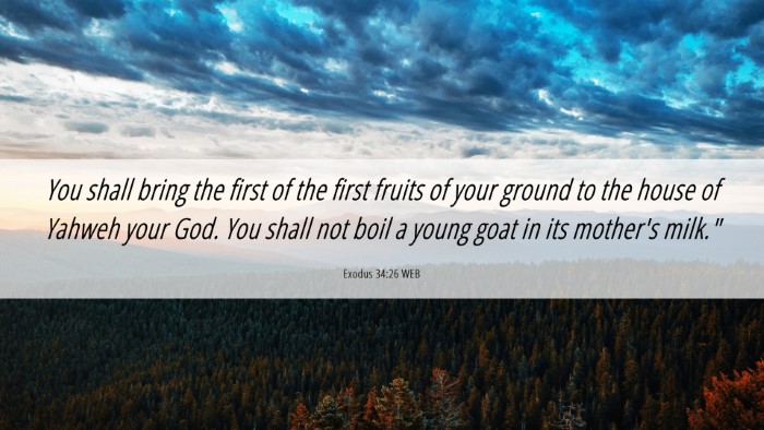 Picture 06 - Exodus 34:26 WEB Desktop Wallpaper - You shall bring the first of the first fruits of - Desktop Bible Verse Wallpaper