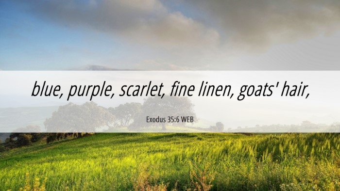 Picture 06 - Exodus 35:6 WEB Desktop Wallpaper - blue, purple, scarlet, fine linen, goats' - Desktop Bible Verse Wallpaper