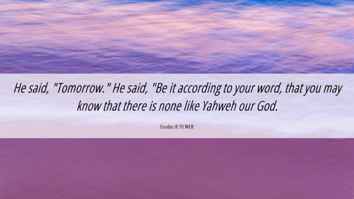 Picture 06 - Exodus 8:10 WEB Desktop Wallpaper - He said, 