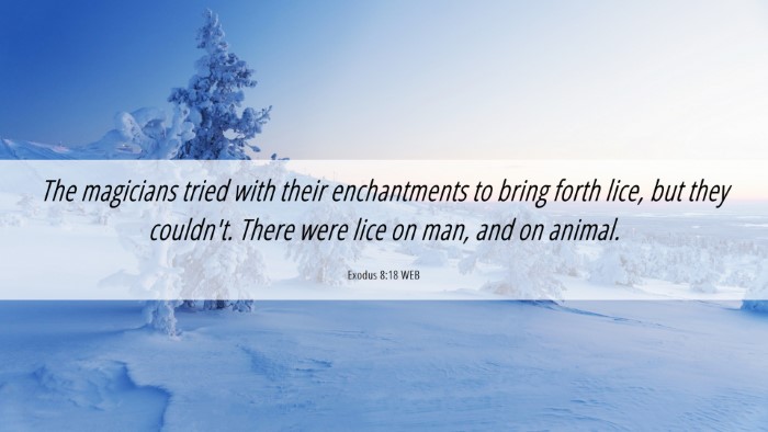 Picture 06 - Exodus 8:18 WEB Desktop Wallpaper - The magicians tried with their enchantments to - Desktop Bible Verse Wallpaper