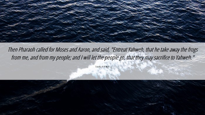 Picture 06 - Exodus 8:8 WEB Desktop Wallpaper - Then Pharaoh called for Moses and Aaron, and - Desktop Bible Verse Wallpaper