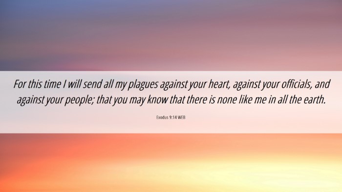 Picture 06 - Exodus 9:14 WEB Desktop Wallpaper - For this time I will send all my plagues against - Desktop Bible Verse Wallpaper