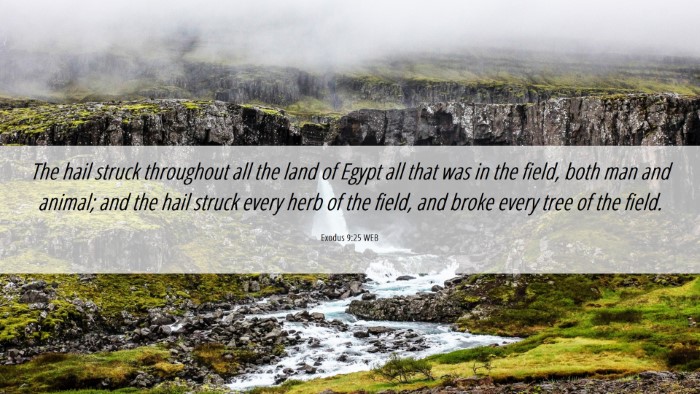 Picture 06 - Exodus 9:25 WEB Desktop Wallpaper - The hail struck throughout all the land of Egypt - Desktop Bible Verse Wallpaper