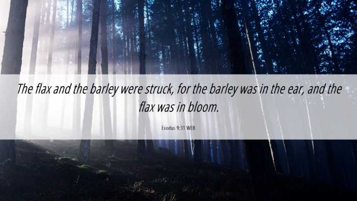 Picture 06 - Exodus 9:31 WEB Desktop Wallpaper - The flax and the barley were struck, for the - Desktop Bible Verse Wallpaper