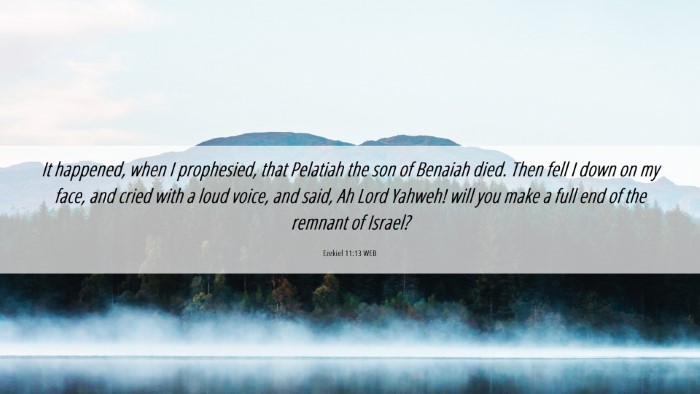 Picture 06 - Ezekiel 11:13 WEB Desktop Wallpaper - It happened, when I prophesied, that Pelatiah the - Desktop Bible Verse Wallpaper