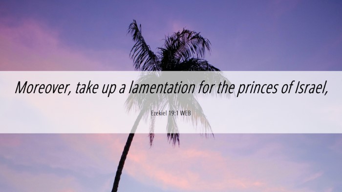 Picture 06 - Ezekiel 19:1 WEB Desktop Wallpaper - Moreover, take up a lamentation for the princes - Desktop Bible Verse Wallpaper