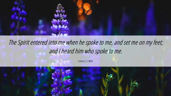 Picture 06 - Ezekiel 2:2 WEB Desktop Wallpaper - The Spirit entered into me when he spoke to me, - Desktop Bible Verse Wallpaper