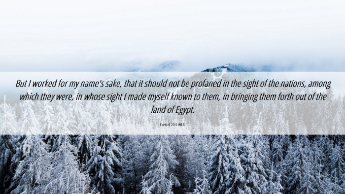 Picture 06 - Ezekiel 20:9 WEB Desktop Wallpaper - But I worked for my name's sake, that it should - Desktop Bible Verse Wallpaper