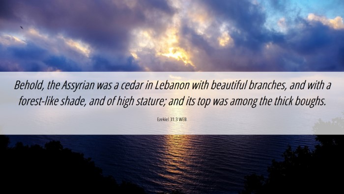 Picture 06 - Ezekiel 31:3 WEB Desktop Wallpaper - Behold, the Assyrian was a cedar in Lebanon with - Desktop Bible Verse Wallpaper