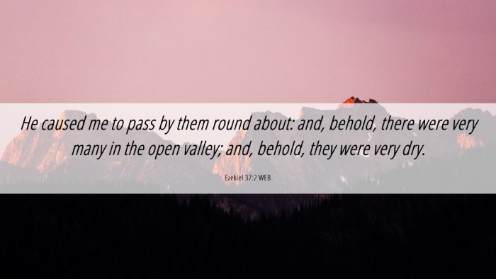 Picture 06 - Ezekiel 37:2 WEB Desktop Wallpaper - He caused me to pass by them round about: and, - Desktop Bible Verse Wallpaper