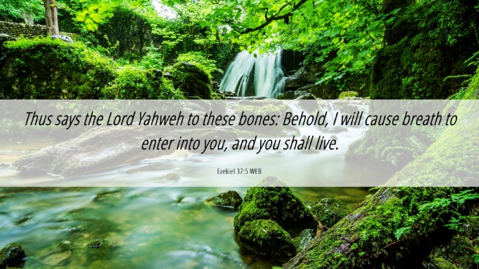 Picture 06 - Ezekiel 37:5 WEB Desktop Wallpaper - Thus says the Lord Yahweh to these bones: Behold, - Desktop Bible Verse Wallpaper