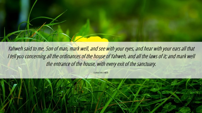 Picture 06 - Ezekiel 44:5 WEB Desktop Wallpaper - Yahweh said to me, Son of man, mark well, and see - Desktop Bible Verse Wallpaper