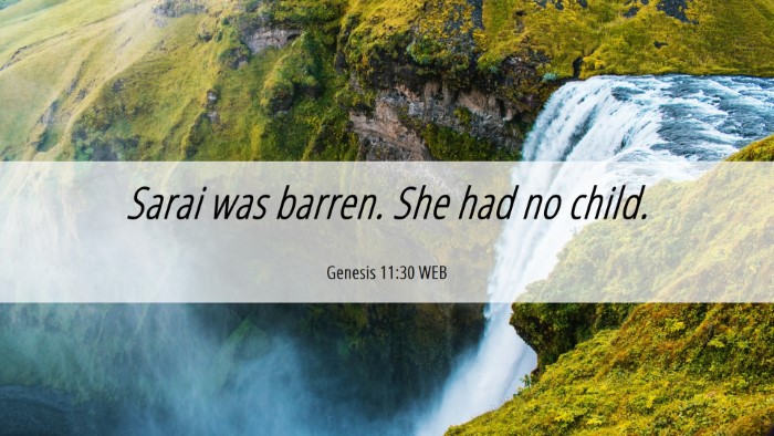 Picture 06 - Genesis 11:30 WEB Desktop Wallpaper - Sarai was barren. She had no - Desktop Bible Verse Wallpaper